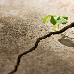 'Invictus' by William E. Henley - poetry (english)