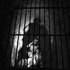 Goodbye Sanity (Draft 3)