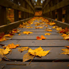 Posle Tebe instrumental