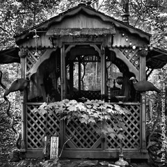 The Rain Cage Experiment, 13 Moments