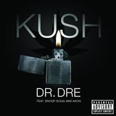 Kush (feat. Snoop Dogg & Akon) (PLS&TY & Arman Cekin Remix)