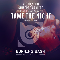 Viggo, 2Fire & Giuseppe Saviero Feat. Nathan Brumley - Tame The Night
