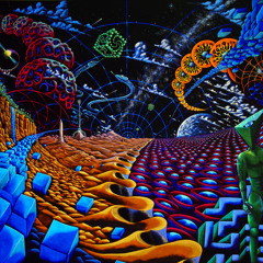 Mr Squatch - Luminate