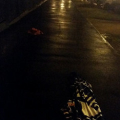 You Left Your Diary by the Lake