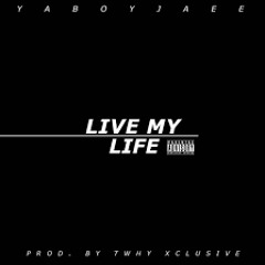 i just want to live my life - Youngfawk
