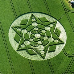 Triex - Crop Circles (Preview WIP)