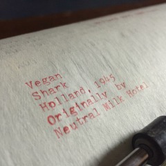 Holland, 1945 (NMH Cover)