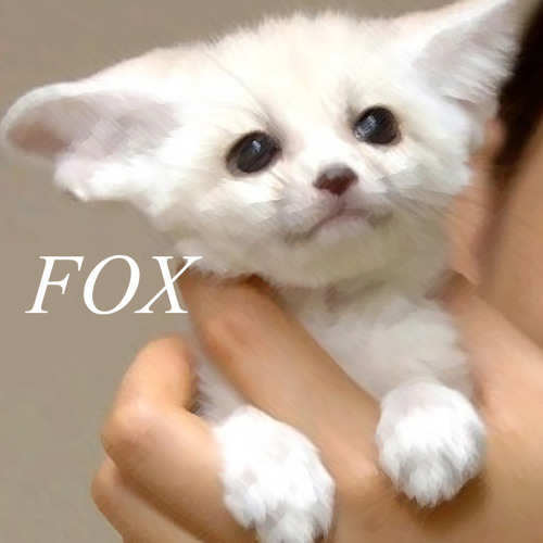 여우FOX
