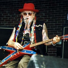 David Allen Coe - House Of The Rising Sun