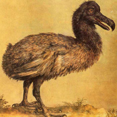 Final Days (Theme for 'The Last Dodo')