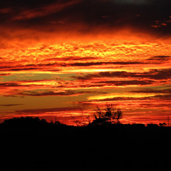 DIGO DIEGO- Sin Pisar Los Frenos