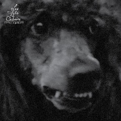 Femme D'Affaires (Acid Pauli Remix)