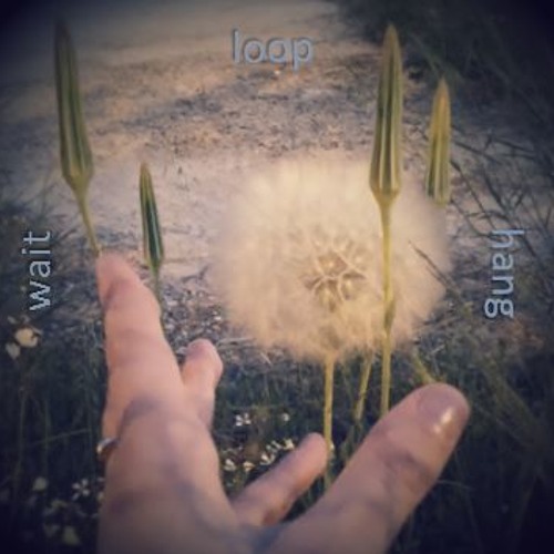 Great Lake - wait/loop/hang - The Diagnostic Aids Volume I