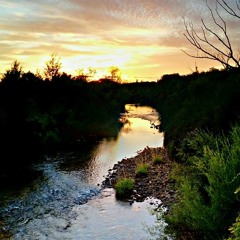 Caravan Big House Hang Drum