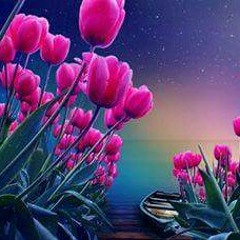 ﴿37_الصَّافَّاتِ﴾ُ  ?﷽ وَالصَّافَّاتِ صَفًّا ﴿١﴾ فَالزَّاجِرَاتِ زَجْرًا ﴿٢﴾ فَالتَّالِيَاتِ ذِكْرًا ﴿٣﴾ إِنَّ إِلَـهَكُمْ لَوَاحِدٌ ﴿٤﴾ رَّبُّ السَّمَاوَاتِ وَالْأَرْضِ وَمَا بَيْنَهُمَا وَرَبُّ الْمَشَارِقِ ﴿٥﴾ إِنَّا زَيَّنَّا السَّمَاءَ الدُّنْيَا بِز