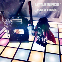 Little Birds - Oberon - taken from the Galaxians EP (FLTRLBL119)