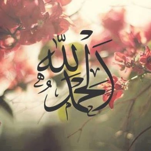 مصر الكنانة الشيخ النقشبندى