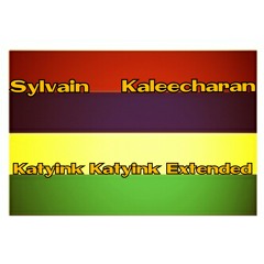 Sylvain Kaleecharan -Katyink - Katyink -