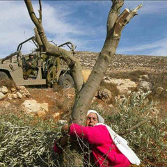 هنا باقون كاننا عشرون مستحيل - لفلسطين عائدون