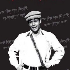 শহীদ রুমী, একাত্তরের দিনগুলি