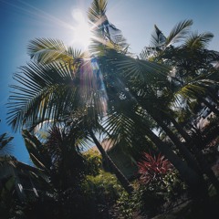 Blessed Up [the flow of things]