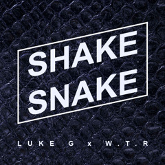 LUKE G x W.T.R - Shake Snake (buy=dl)