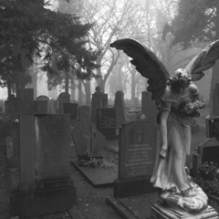 Straight & Narrow - Sister Someone