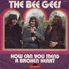 How Can You Mend a Broken Heart (Bee Gees/Al Green cover)