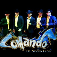 COMANDO DE NUEVO LEON (TU FRIALDAD)