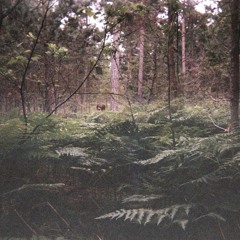Moss Green (Ft. Maya Kimura)
