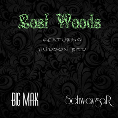 Lost Woods feat. Hudson Red (Schwaygar x Big Mak)