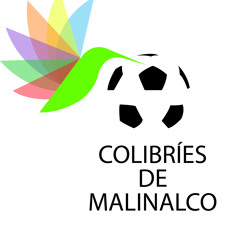 Colibrìes de Malinalco vs Selva Cañera del Zacatepec