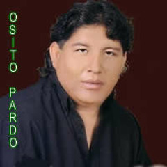 OSITO PARDO - Pienso En Ti