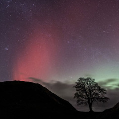 Fall To Rise-Live Mix