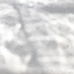 ...sur fond blanc (2015)