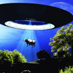 Gimme Some Milk (Part 4)