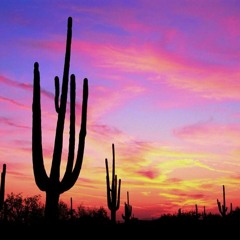 Arson Arizona by Erik Kristian & RIck Caudill