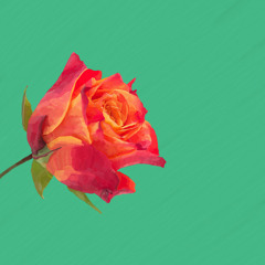 The Usual - Toro Y Moi