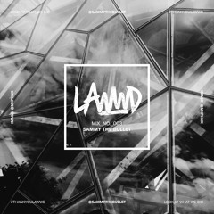 LAWWD MIX NO 003