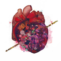 Belize - Stab My Heart