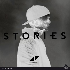 Avicii-What Would I Change It To