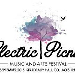 **Electric Picnic 2015**