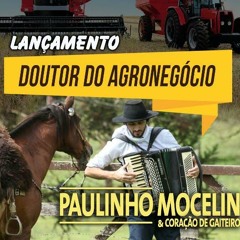 Paulinho Mocelin - Dr Do Agronegocio
