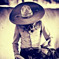 Los Alegres Del Barranco - Falsos Amigos (2013).m4a