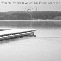 Who Are We When We Are Not Paying Attention?