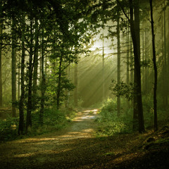 Хубава си, моя горо