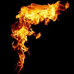 FTree - Source Of Light