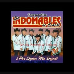 2015 Los Indomables De Cedral - Morir A Mi Modo.mp3