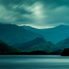 Jayella Covering Bonobo Transits