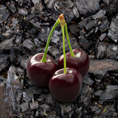 TRÓPICA MIX 01 - AL QADERA